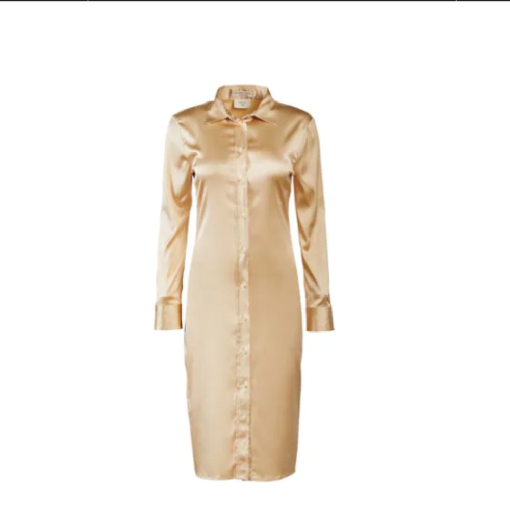 Bottega Veneta Silk Women's Long Sleeve Dress, Size 38, New with Tag.